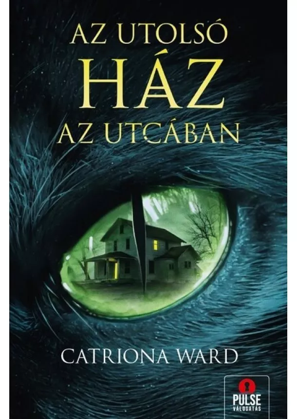 Catriona Ward - Az utolsó ház az utcában