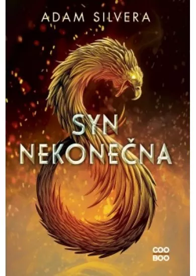 Syn nekonečna