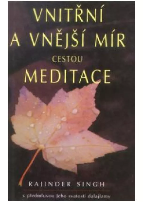 Rajinder Singh - Vnitřní a vnější mír cestou meditace