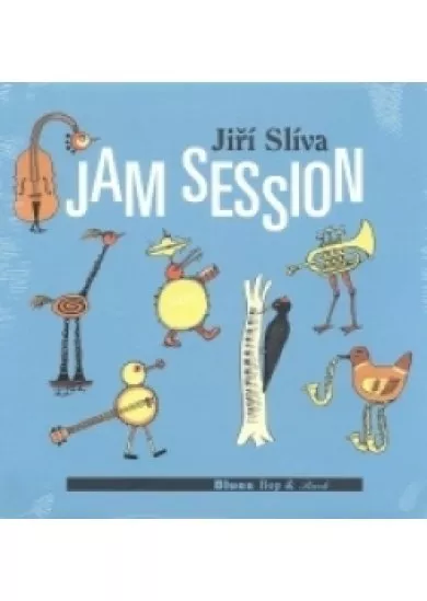 Jam Session - Jiří Slíva