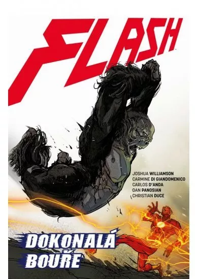 Flash 7 - Dokonalá bouře