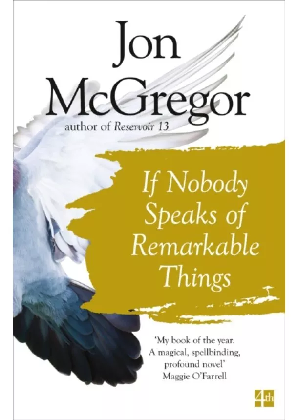 Jon McGregor - If Nobody Speaks of Remarkable Things