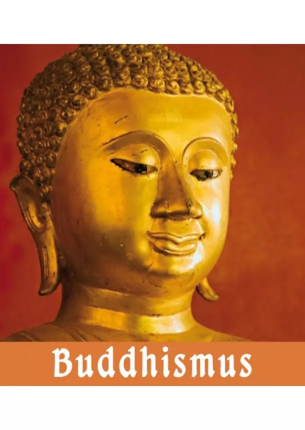 Roman Žižlavský - Buddhismus