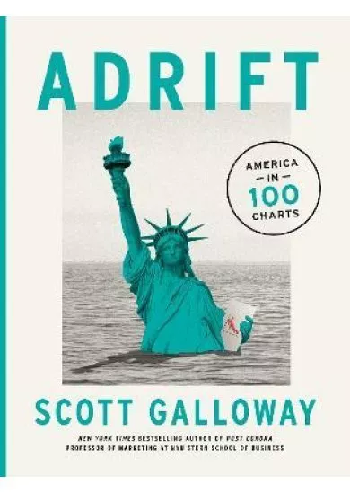 Adrift : 100 Charts that Reveal Why America is on the Brink of Change