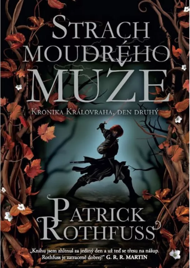 Patrick Rothfuss - Strach moudrého muže - Kronika Královraha 2 - 3.vydání