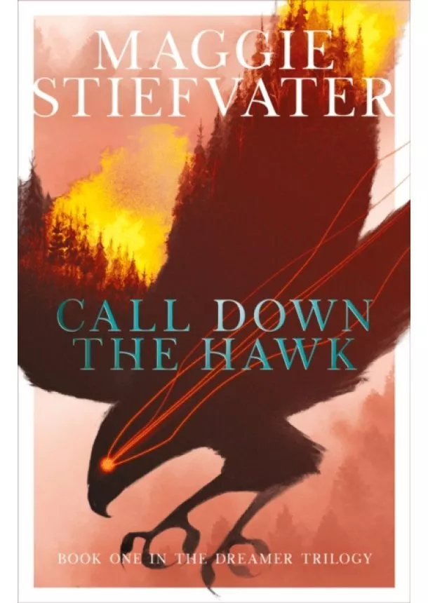 Maggie Stiefvater - Call Down the Hawk: The Dreamer Trilogy 1