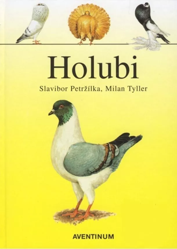 Slavibor Petržílka, Milan Tyller - Holubi