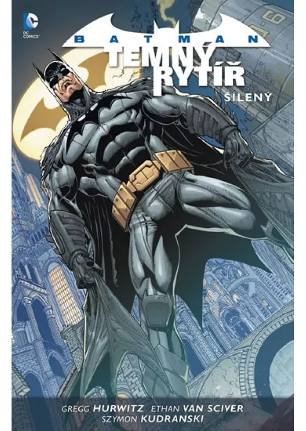 Gregg Hurwitz - Batman: Temný rytíř 3 - Šílený