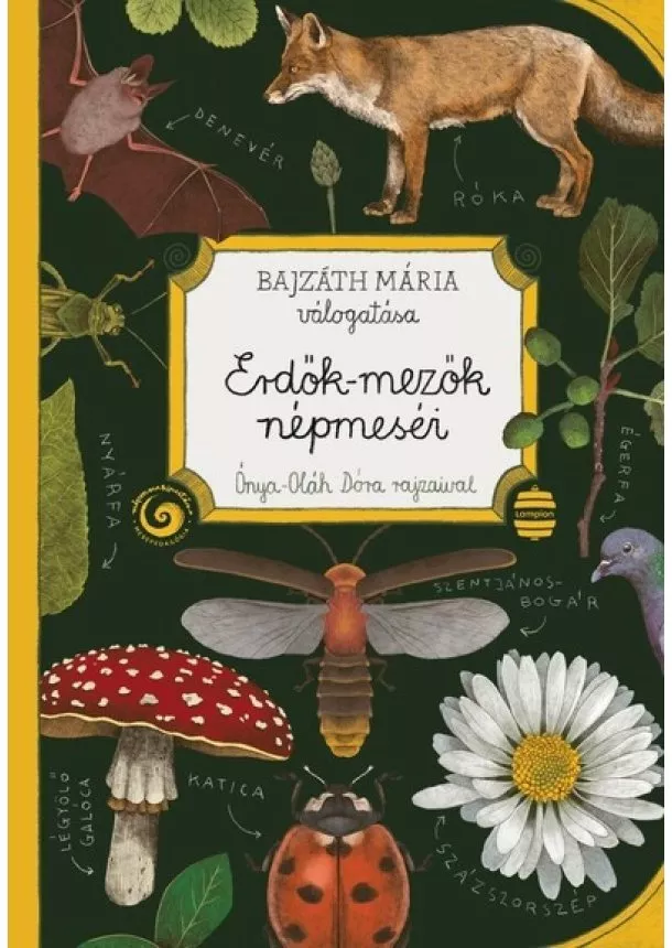 Bajzáth Mária - Erdők-mezők népmeséi - Népmesekincstár Plusz