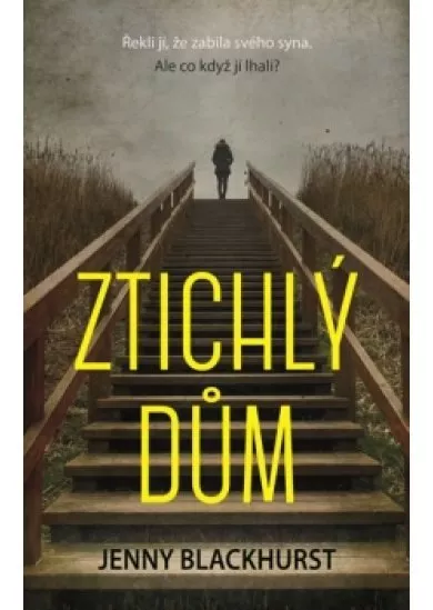 Ztichlý dům