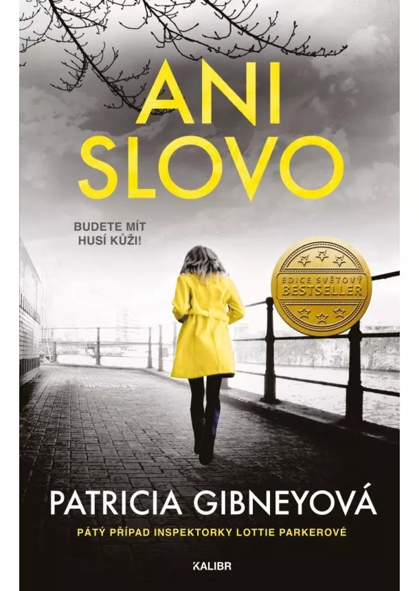 Patricia Gibneyová  - Ani slovo