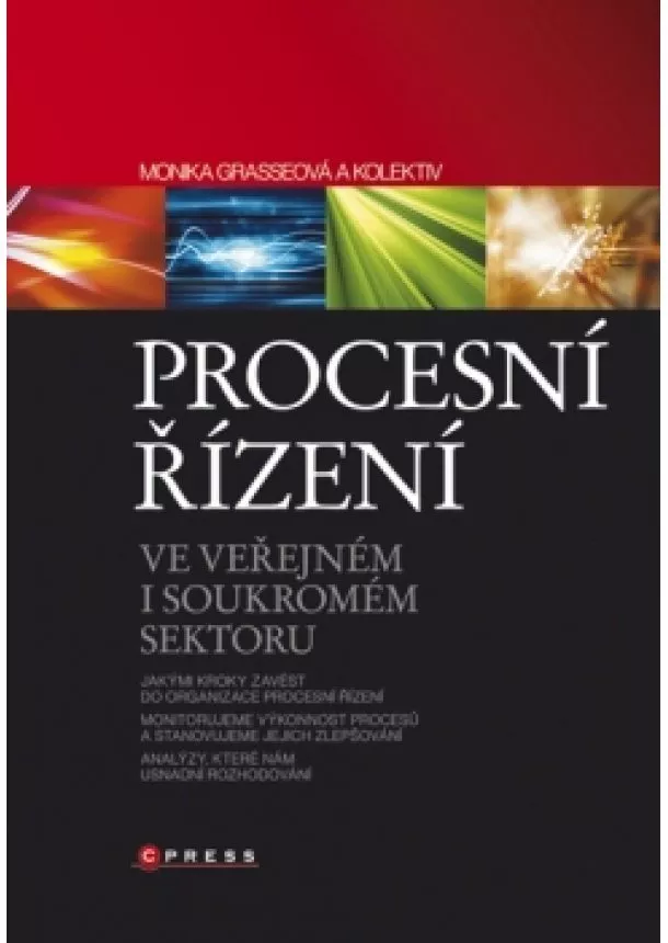 Monika Grasseová, Kolektiv - Procesní řízení