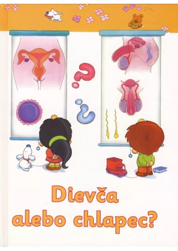 Kolektív - Dievča alebo chlapec?