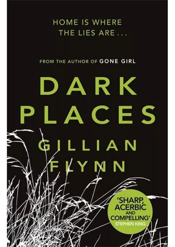 Gillian Flynnová - Dark Places