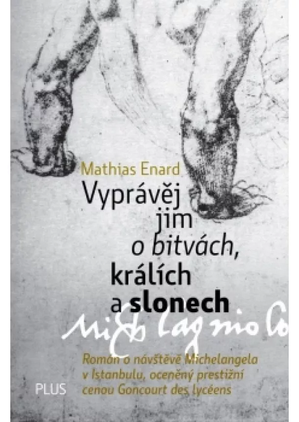 Mathias Enard - Vyprávěj jim o bitvách, králích a slonech