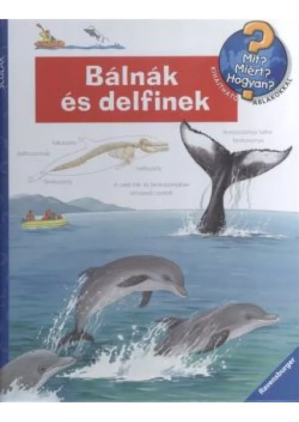 DORIS RÜBEL - BÁLNÁK ÉS DELFINEK