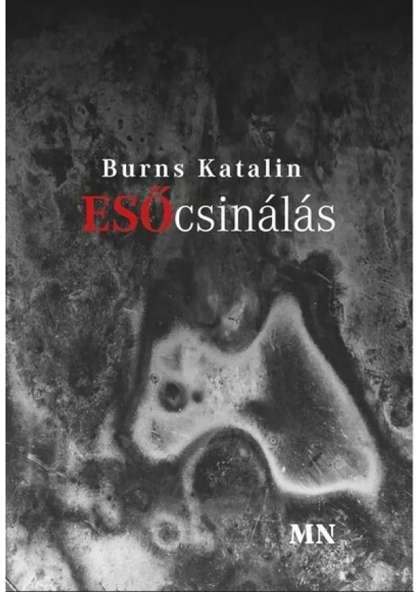 Burns Katalin - Esőcsinálás