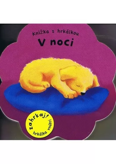 V noci - Knižka s hrkálkou