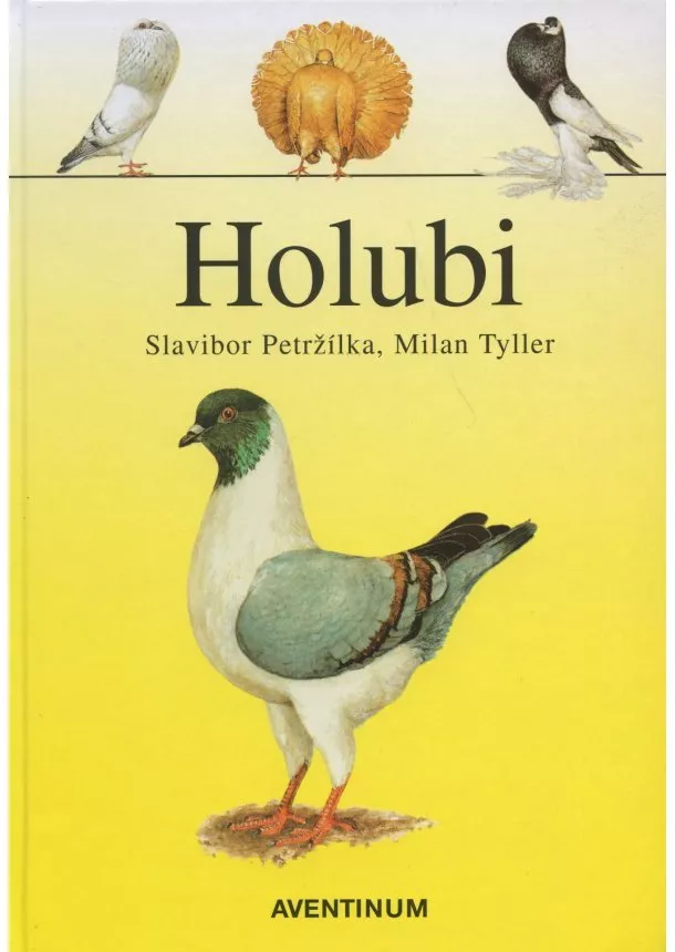 Slavibor Petržílka, Milan Tyller - Holubi