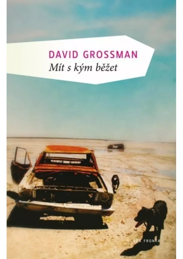 David Grossman - Mít s kým běžet