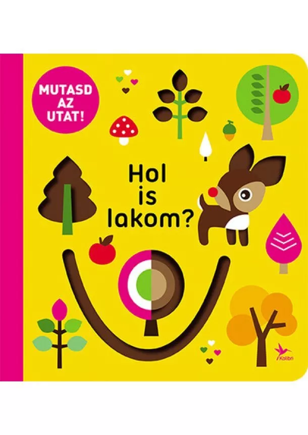 Lapozó - Mutasd az utat! - Hol is lakom?