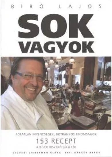 SOK VAGYOK