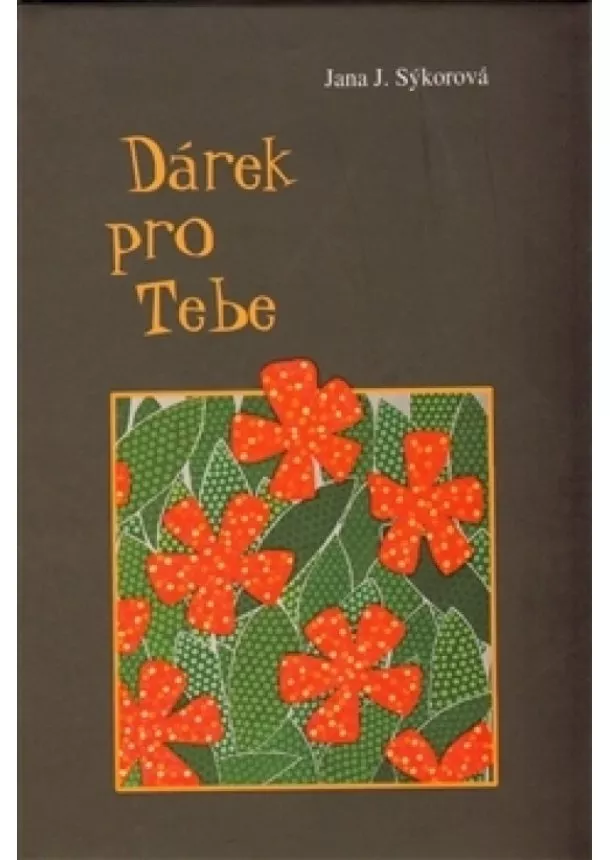 Jana Sýkorová - Dárek pro Tebe