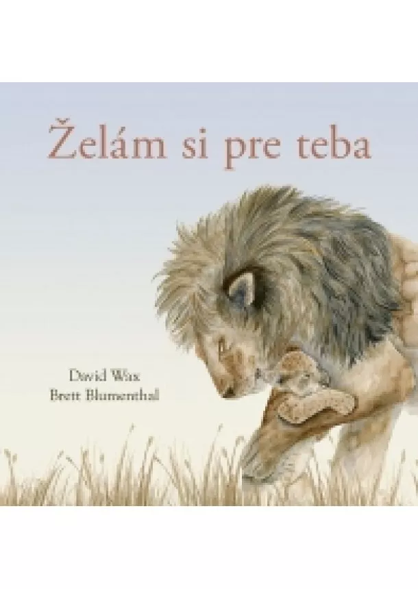 David Wax - Želám si pre teba