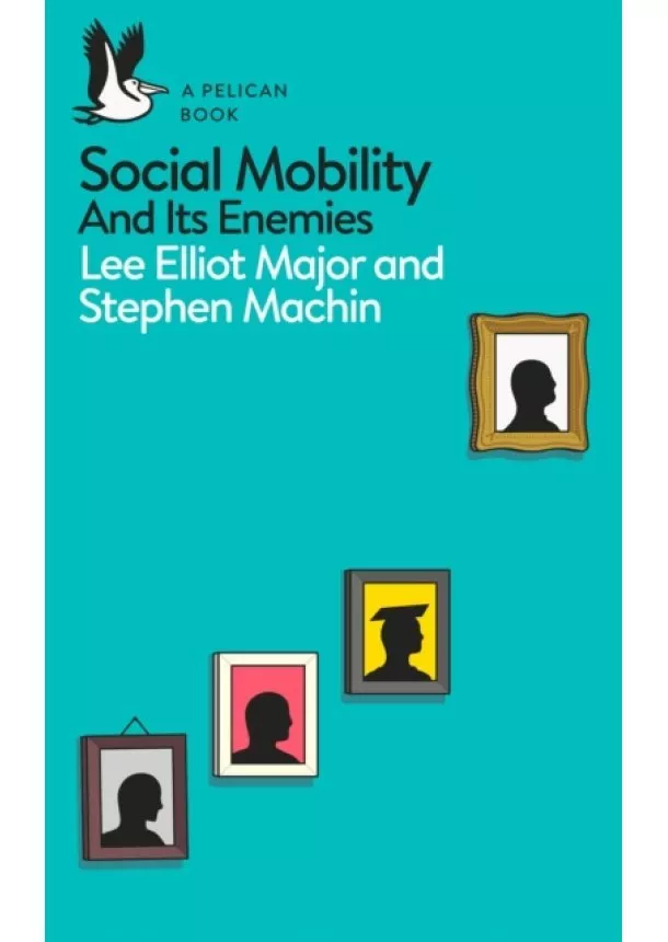 Lee Elliot Major, Stephen Machin - Social Mobility