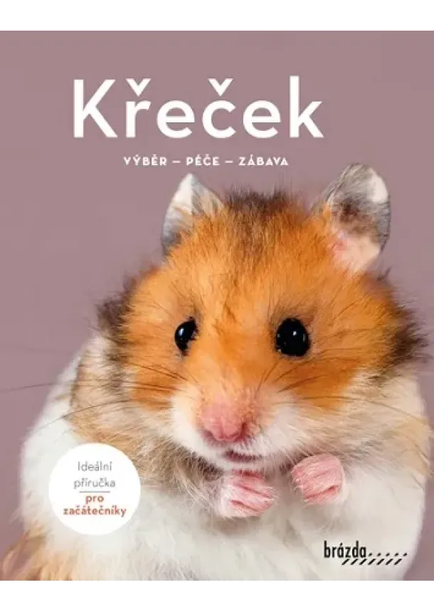 Angela Beck - Křeček - Výběr, péče, zábava