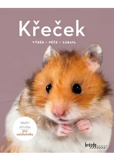 Křeček - Výběr, péče, zábava