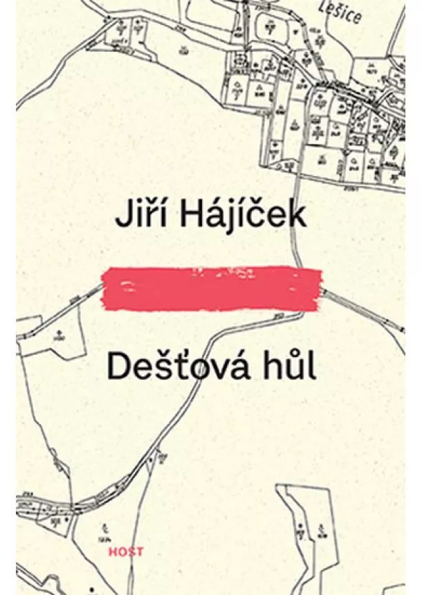 Jiří Hájíček - Dešťová hůl