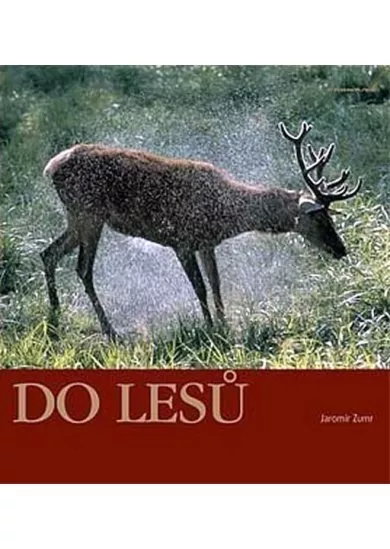 Do lesů