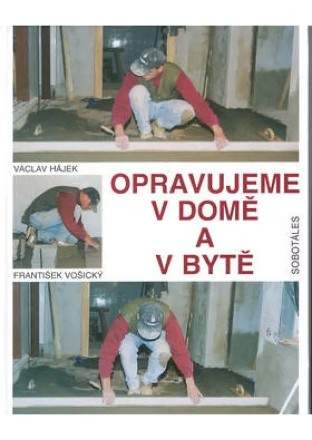 Václav Hájek, František Vošický - Opravujeme v domě a v bytě