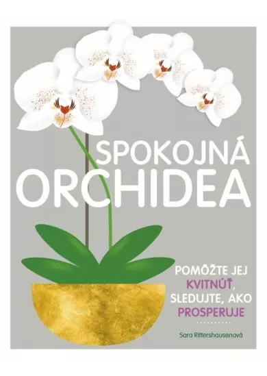 Spokojná orchidea