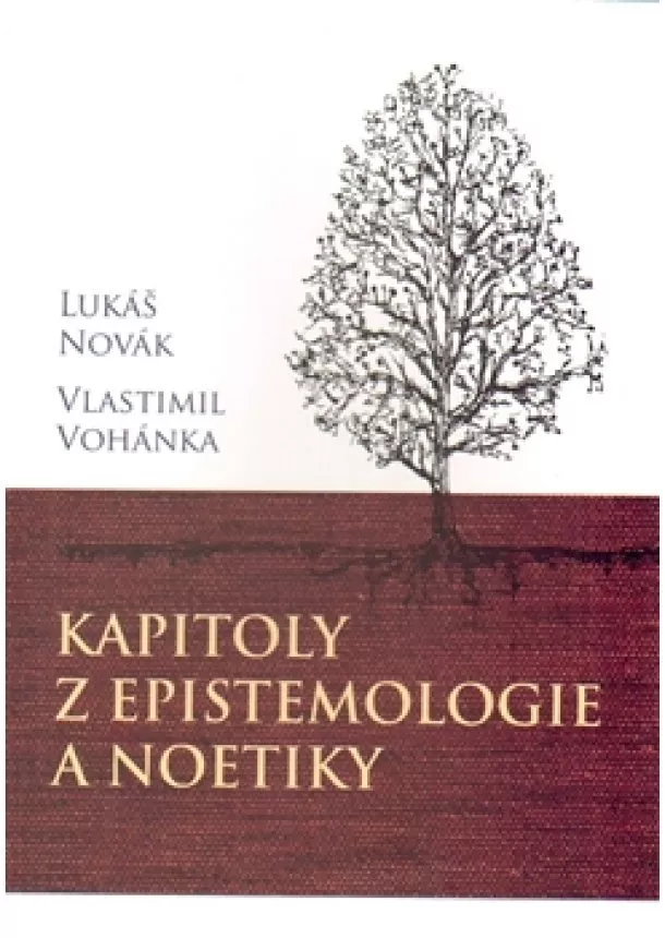 Lukáš Novák, Vlastimil Vohánka - Kapitoly z epistemologie a noetiky