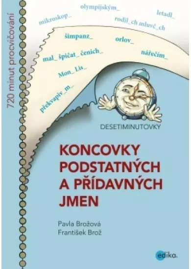 DESETIMINUTOVKY. Koncovky podstatných a přídavných jmen