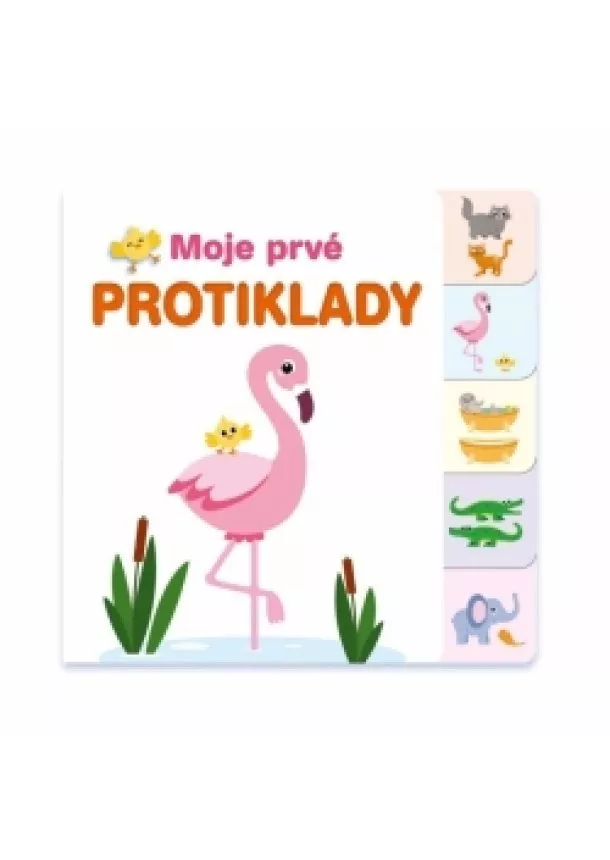 autor neuvedený - Moje prvé protiklady