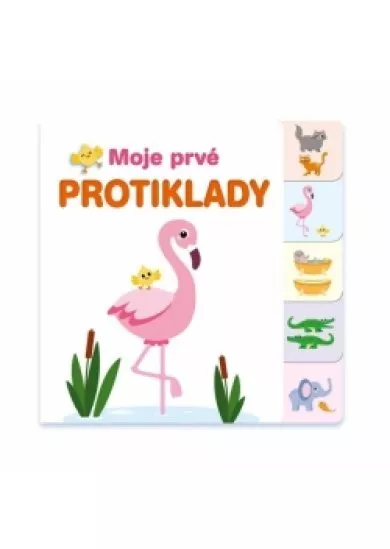 Moje prvé protiklady