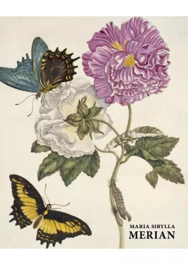 Daniel Kiecol - Maria Sibylla Merian