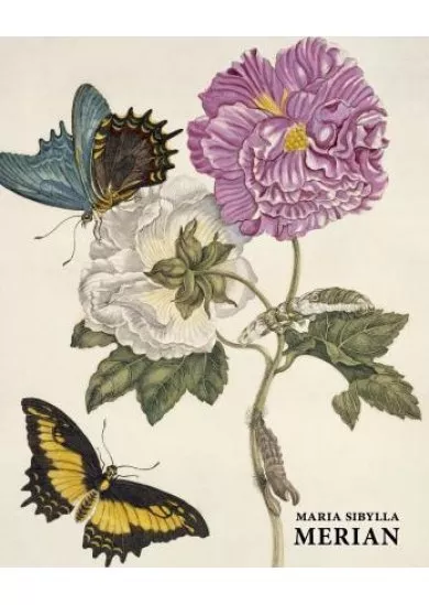 Maria Sibylla Merian