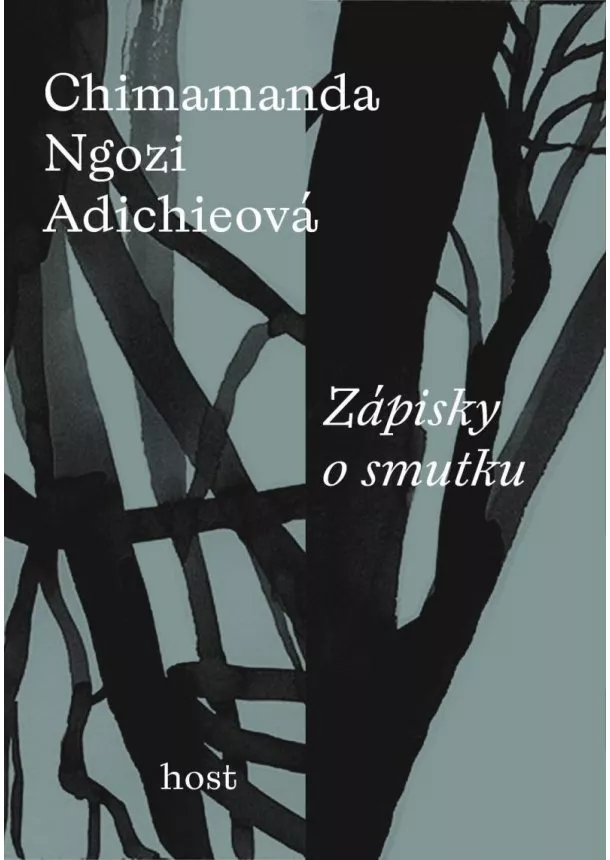 Chimamanda Ngozi Adichieová - Zápisky o smutku