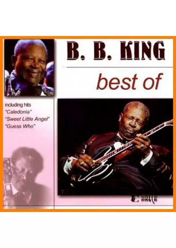 autor neuvedený - B.B. King - Best of - CD