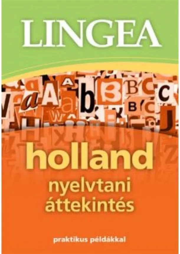 Nyelvkönyv - Lingea Holland nyelvtani áttekintés /Praktikus példákkal