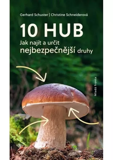 10 hub