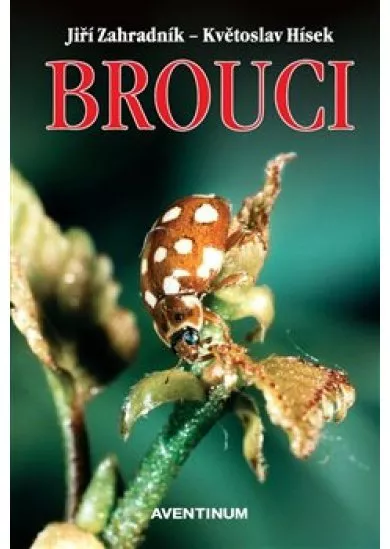 Brouci