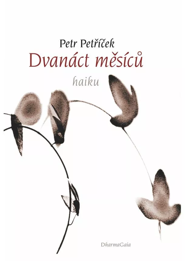 Petr Petříček - Dvanáct měsíců - 108 haiku