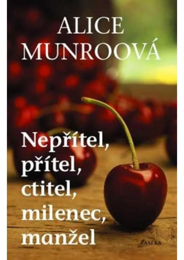 Alice Munroová - Nepřítel, přítel, ctitel, milenec, manžel