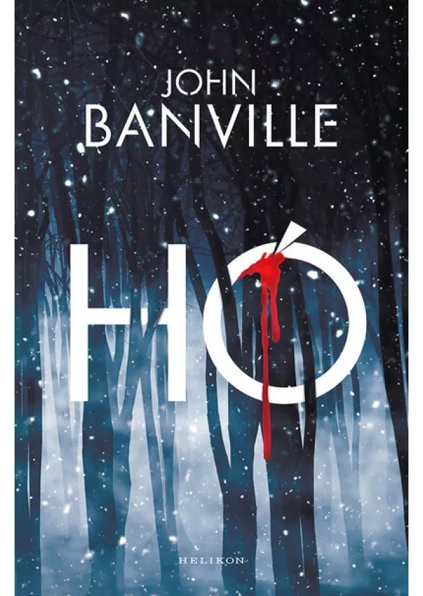 John Banville - Hó