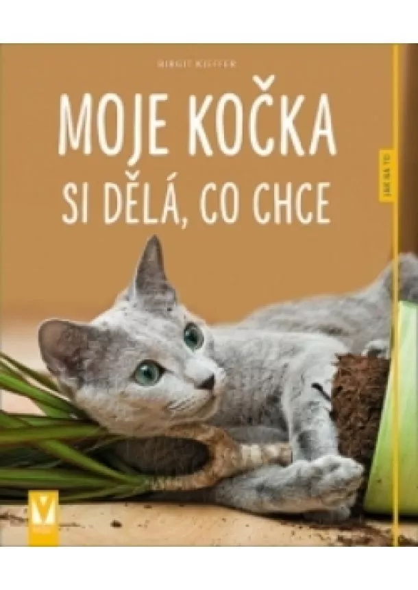 Kieffer Birgit - Moje kočka si dělá, co chce - Jak na to